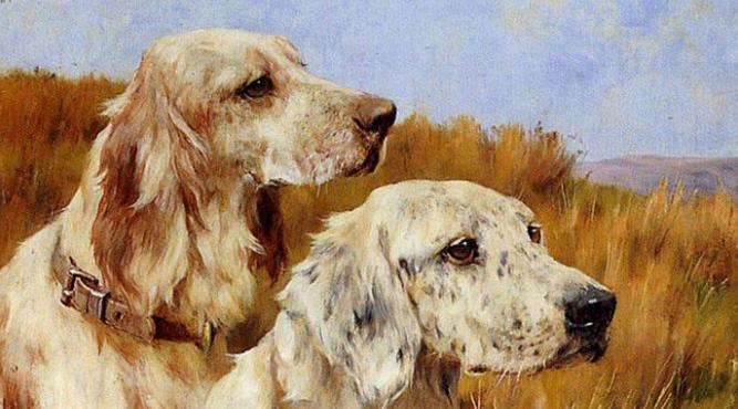 Sinh năm 2006 (2k6) năm nay 2025 bao nhiêu tuổi