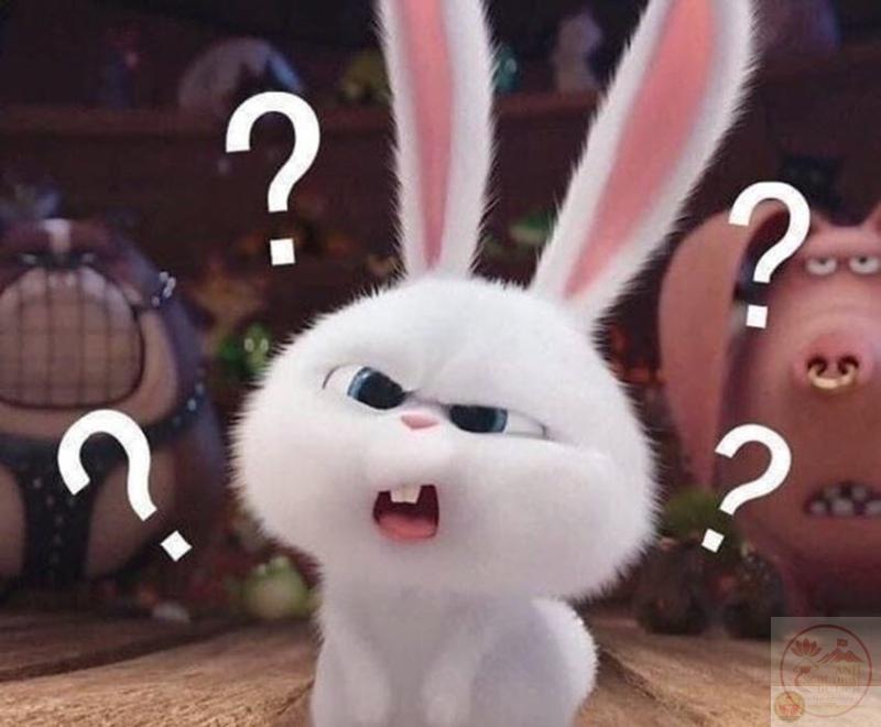 Meme hỏi chấm: 95+ ảnh “???”, question reaction ngơ ngác