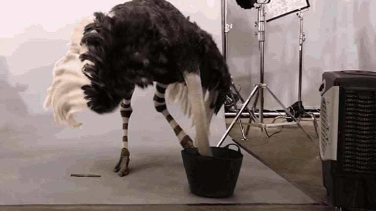 OnboardyTừ 4 khoảnh khắc “muốn độn thổ” đến hiểu sức mạnh của chuyện phiếm 