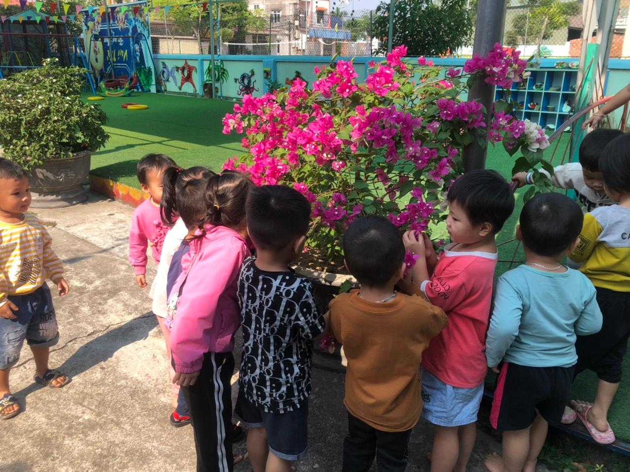 Giáo dục ý thức bảo vệ môi trường thông qua hoạt động chơi ngoài trời cho trẻ lớp 3-4 tuổi A1