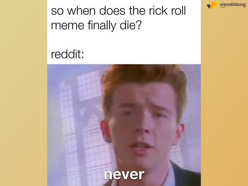 Cách tạo meme trên Android, iPhone và máy tính miễn phí, đơn giản