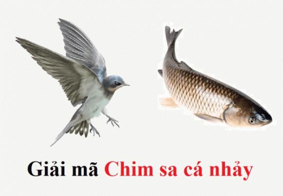'Chim sa tận nơi không bắt, cá nhảy tận bờ không ăn' là vì sao? Lời người xưa đã dạy, chớ làm sai kẻo có ngày đại họa!