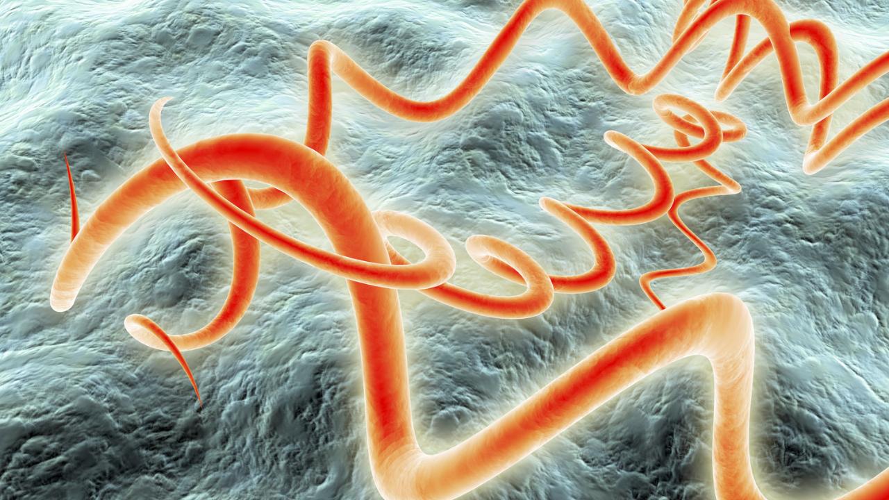 Bệnh giang mai ở nam là gì? Có nguy hiểm không?