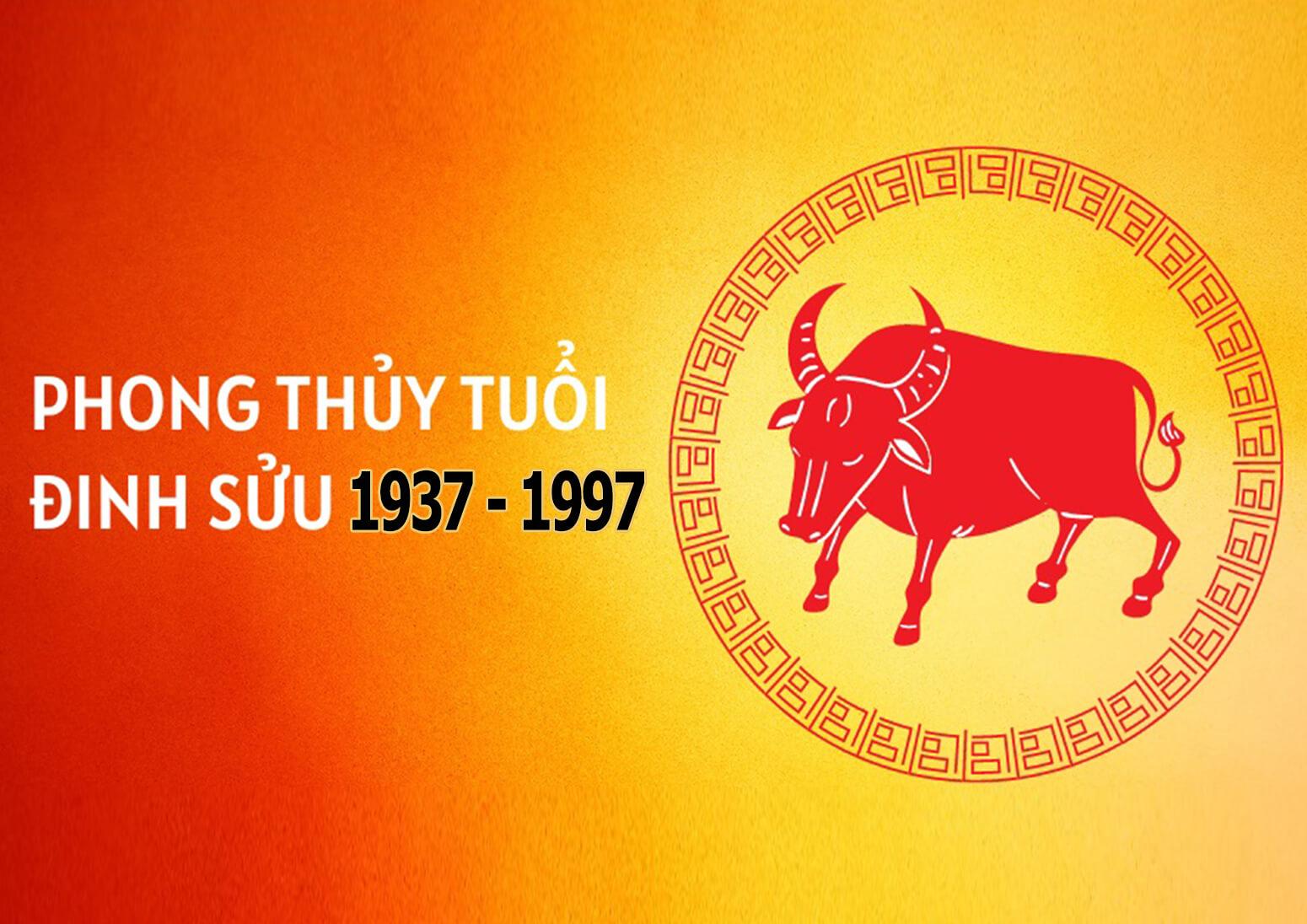 Tử vi người sinh năm 1997 Luận giải chi tiết vận mệnh người tuổi 1997