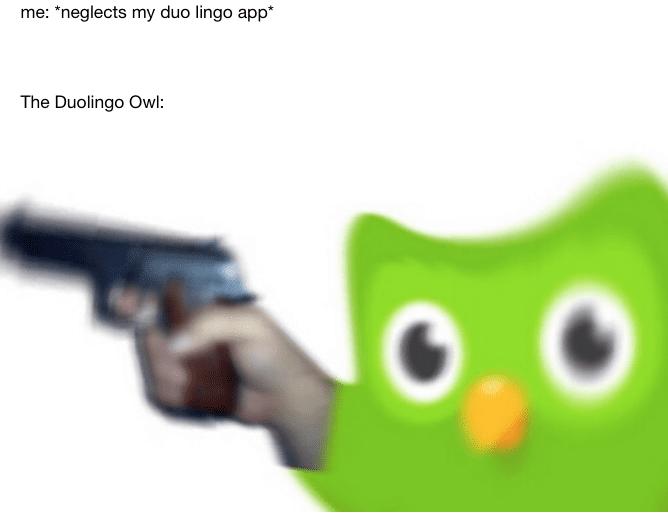 How memes made Duolingo a marketing powerhouse