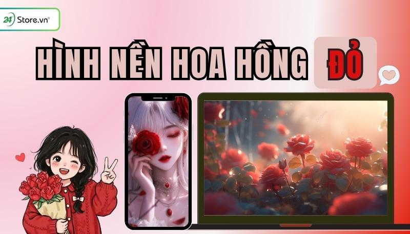 299+ Hình nền hoa hồng đỏ ĐẸP NHẤT, quyến rũ, độc đáo, Full HD