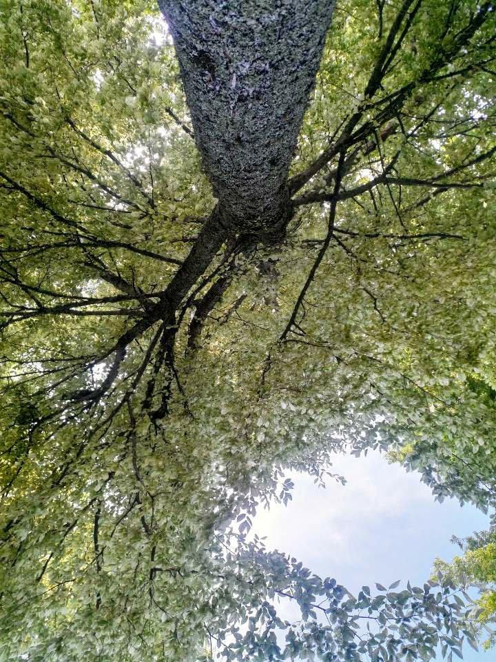 Your life will change when you go