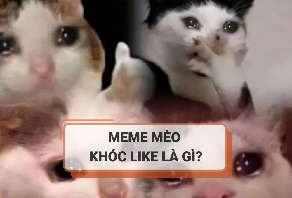 Meme mèo khóc like là gì? Tổng hợp mẫu meme mèo khóc like hot nhất mạng xã hội