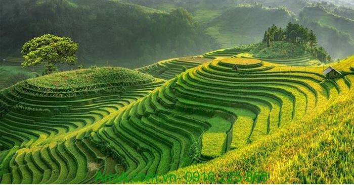 Văn mẫu lớp 12: Phân tích tính dân tộc trong 8 câu đầu bài Việt Bắc                                   3 Dàn ý + 21 bài văn mẫu lớp 12 hay nhất