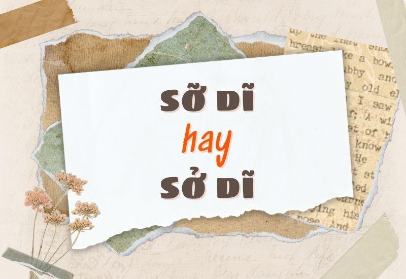 Sỡ dĩ hay sở dĩ đúng chính tả?