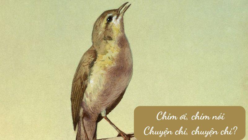 Soạn bài Con chim chiền chiện (Huy Cận): Ngữ văn 7, CTST