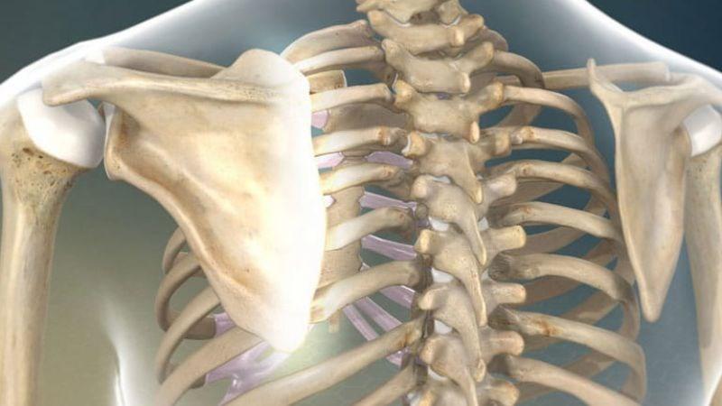 Cách xác định dáng người chuẩn xác cho nữ và 5 kiểu dáng người cơ bản