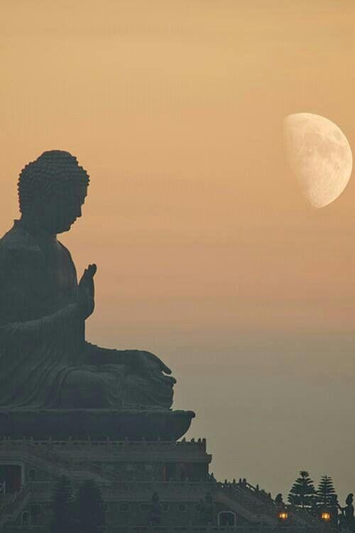 Kho 99+ Ảnh Phật, Hình Phật Đẹp Nhất, Siêu Chất Lượng 4K Dành Cho Mọi Thiết Bị