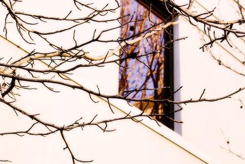 Nỗi nhớ mùa đông – Dư vị yêu thương