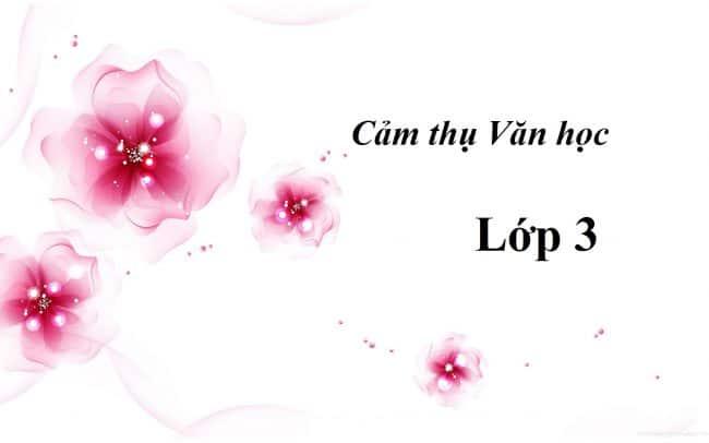 MỘT SỐ BÀI VĂN CẢM THỤ LỚP 3