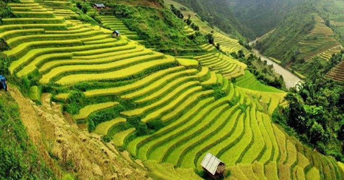 Văn mẫu lớp 12: Cảm nhận 8 câu thơ đầu bài Việt Bắc (3 Dàn ý + 13 mẫu)                                   Việt Bắc của Tố Hữu