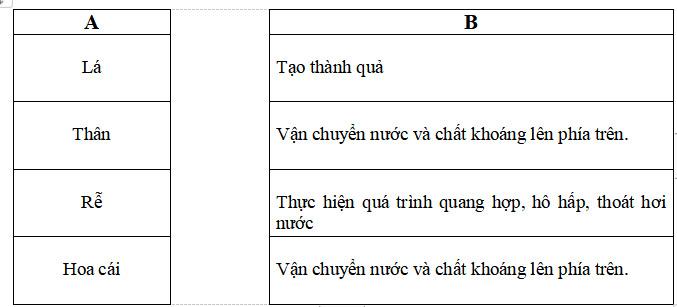 Bộ Đề thi học kì 2 môn Khoa học lớp 4 năm 2025