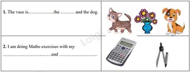 Đề thi giữa kì 1 Tiếng Anh 6 Global Success - Đề số 1