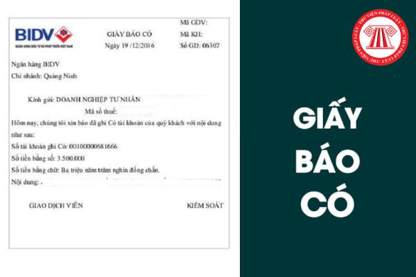 Giấy Báo Có Ngân Hàng Là Gì? Phân Biệt Với Phiếu Thu và Mẫu Mới Nhất