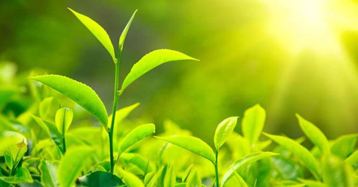 Văn mẫu lớp 9: Nghị luận xã hội về lối sống có trách nhiệm (Sơ đồ tư duy)                               5 Dàn ý & 25 bài văn mẫu lớp 9 hay nhất