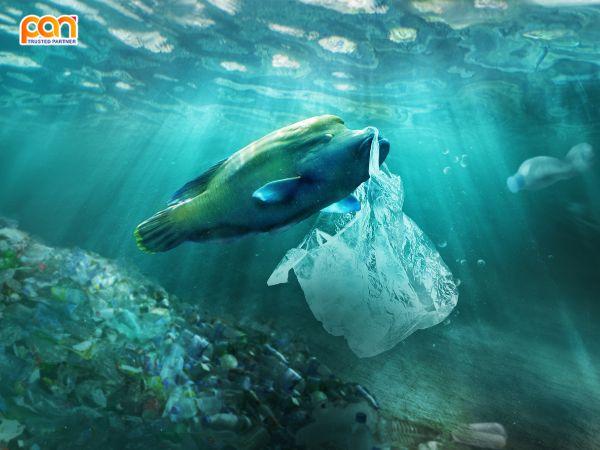 Rác thải nhựa là gì? Phân loại và phương pháp tái chế hiệu quả