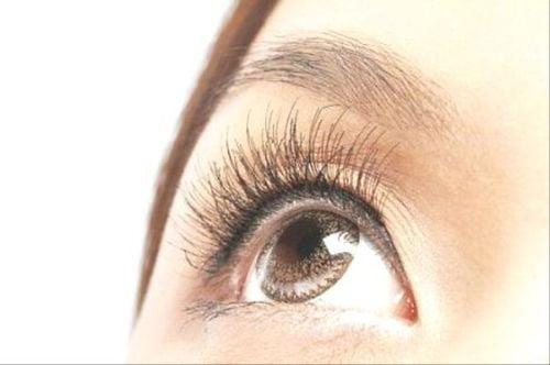 Thiếu vitamin A có thể gây bệnh gì?