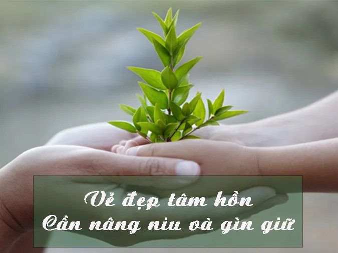 Tâm hồn là gì? Làm thế nào để có một tâm hồn đẹp?