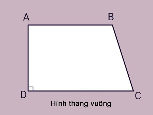 Công thức tính chu vi hình thang vuông, bài tập và ứng dụng thực tiễn