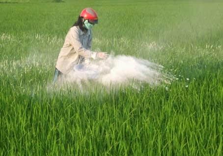 5 Ứng dụng quan trọng nhất của Ca(OH)2 bạn cần ...