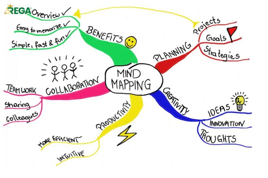 7 Bước Vẽ Sơ Đồ Tư Duy Về Gia Đình Đơn Giản Dễ Hiểu Cho Học Sinh