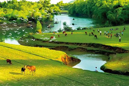 Tình yêu quê hương