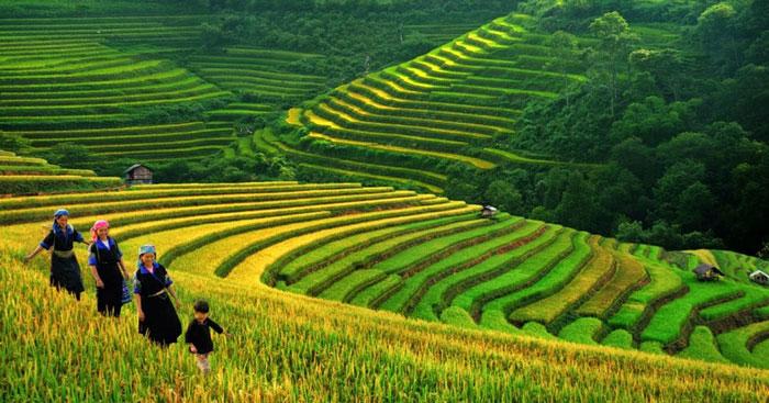 Văn mẫu lớp 12: Phân tích bức tranh tứ bình trong bài thơ Việt Bắc                                   3 Dàn ý + 23 bức tranh tứ bình trong Việt Bắc (Sơ đồ tư duy)