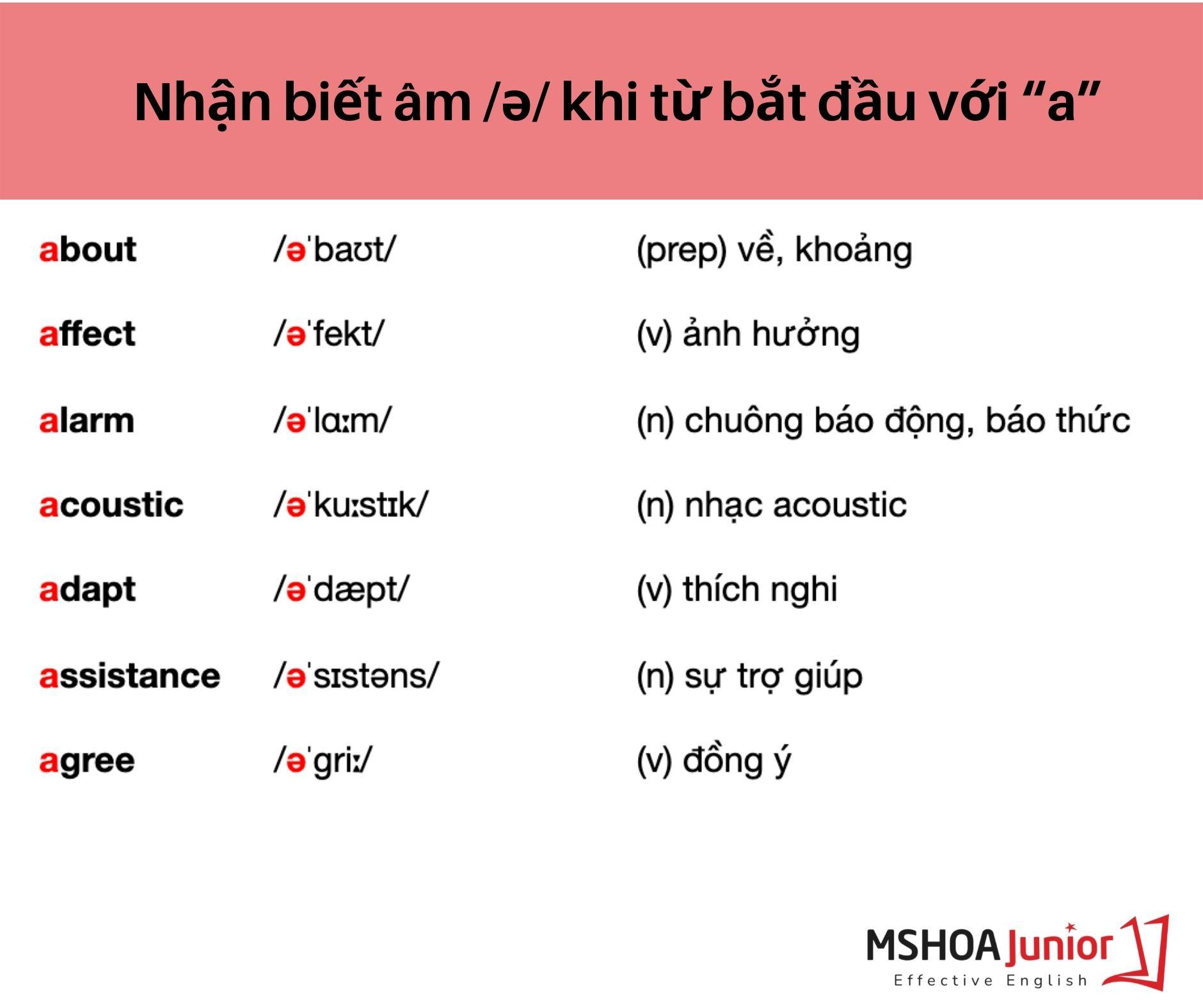 dấu hiệu nhận biết và cách phát âm âm /ə/ và /ɜ:/ ms hoa junior 2