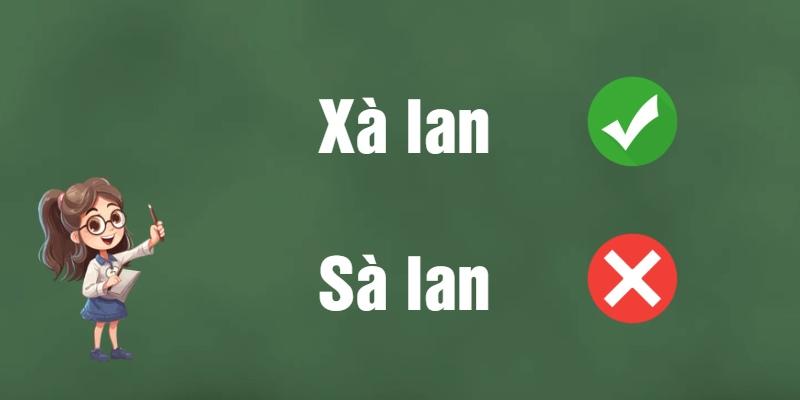 Sà lan hay xà lan: Đâu là từ đúng chính tả tiếng Việt?